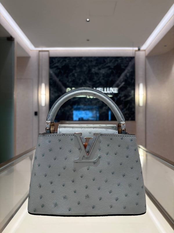 LOUIS VUITTON MINI CAPUCINES OSTRICH LEATHER IN GRIS PERLE