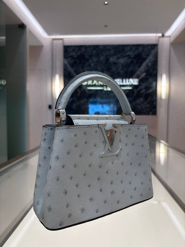 LOUIS VUITTON MINI CAPUCINES OSTRICH LEATHER IN GRIS PERLE