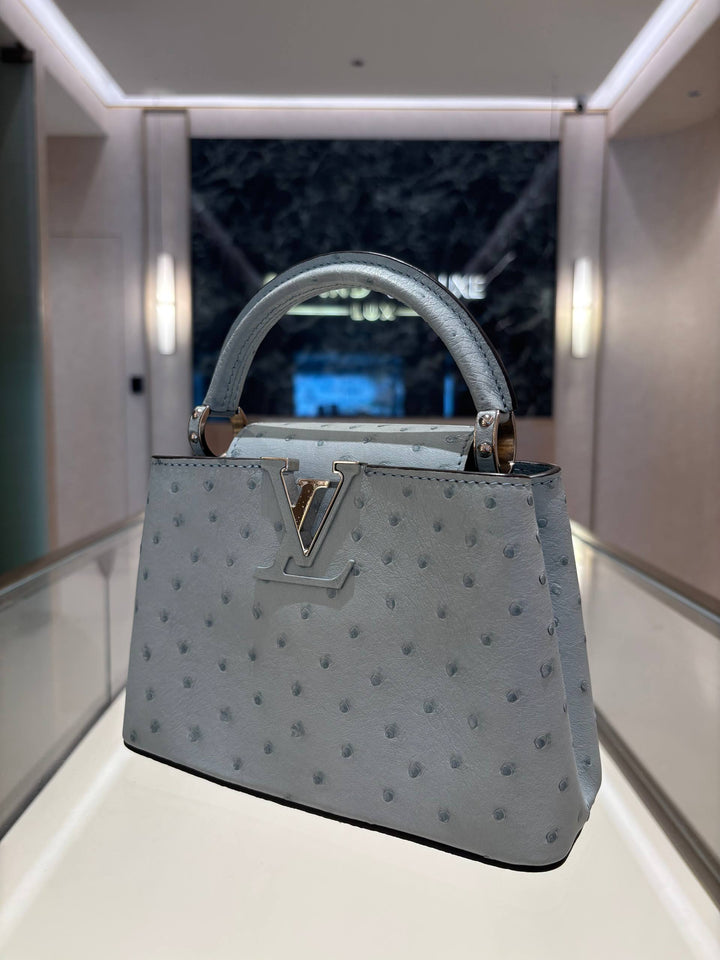 LOUIS VUITTON MINI CAPUCINES OSTRICH LEATHER IN GRIS PERLE