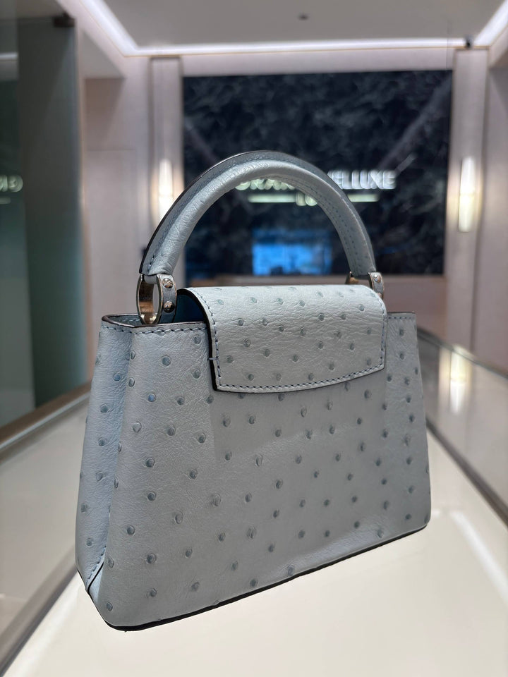 LOUIS VUITTON MINI CAPUCINES OSTRICH LEATHER IN GRIS PERLE