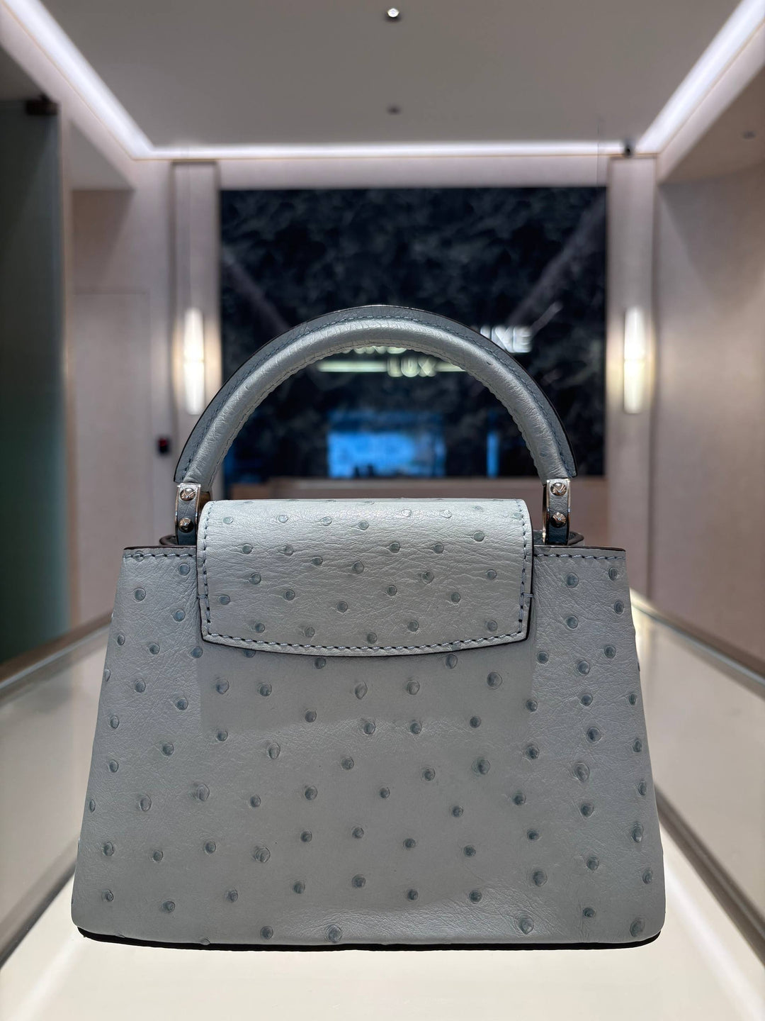 LOUIS VUITTON MINI CAPUCINES OSTRICH LEATHER IN GRIS PERLE