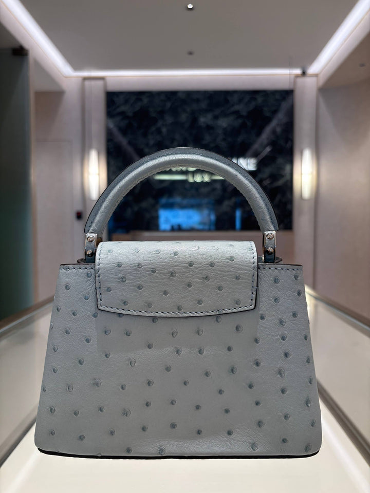 LOUIS VUITTON MINI CAPUCINES OSTRICH LEATHER IN GRIS PERLE