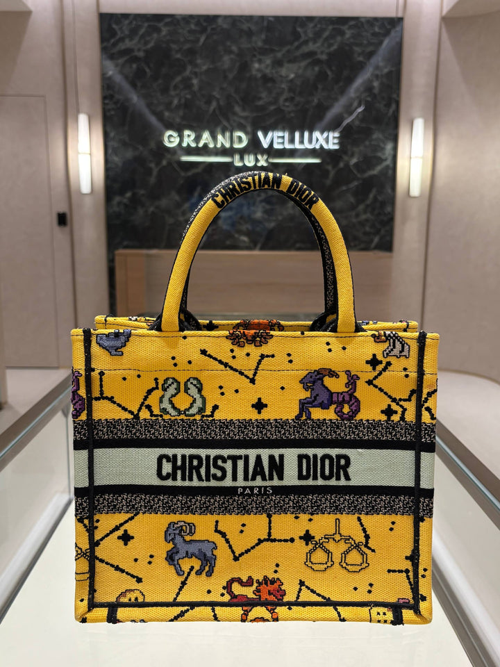 2022 CHRISTIAN DIOR PIXEL ZODIAC BOOK SMALL TOTE BAG