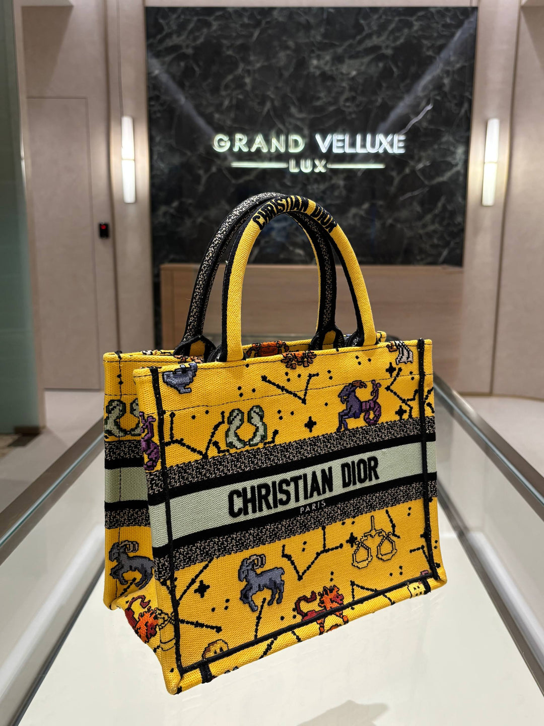 2022 CHRISTIAN DIOR PIXEL ZODIAC BOOK SMALL TOTE BAG