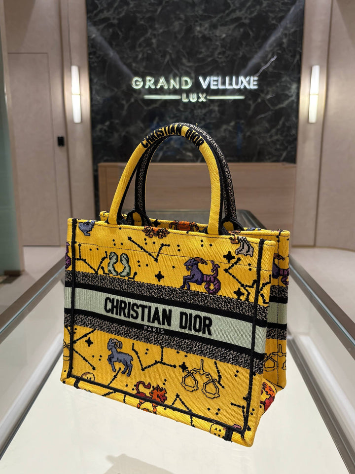 2022 CHRISTIAN DIOR PIXEL ZODIAC BOOK SMALL TOTE BAG