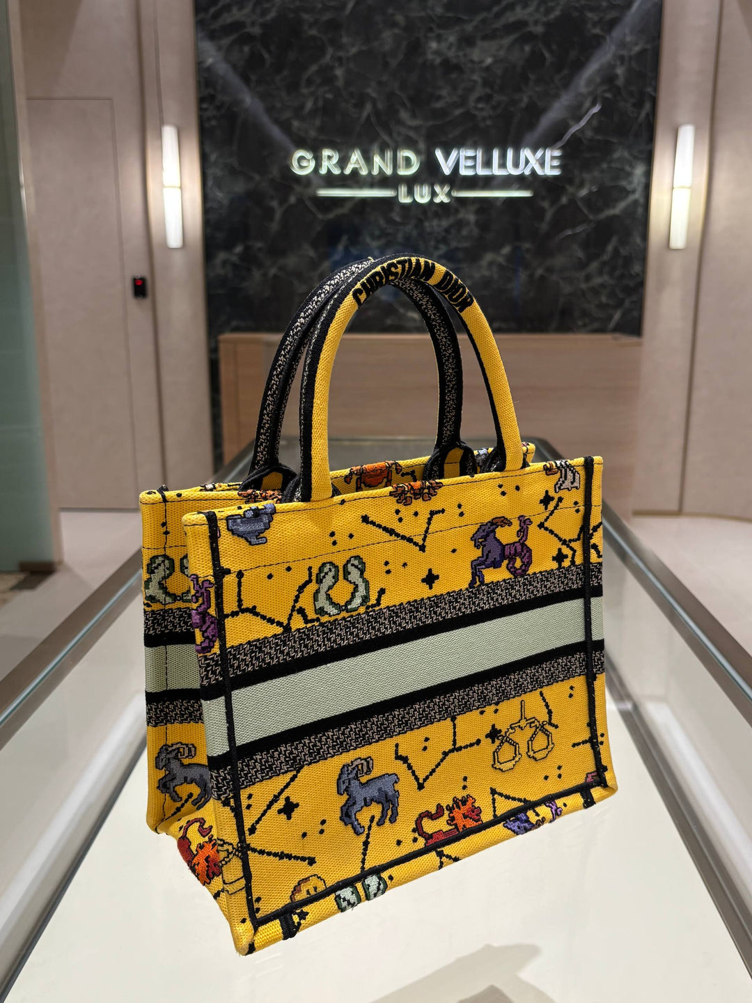 2022 CHRISTIAN DIOR PIXEL ZODIAC BOOK SMALL TOTE BAG