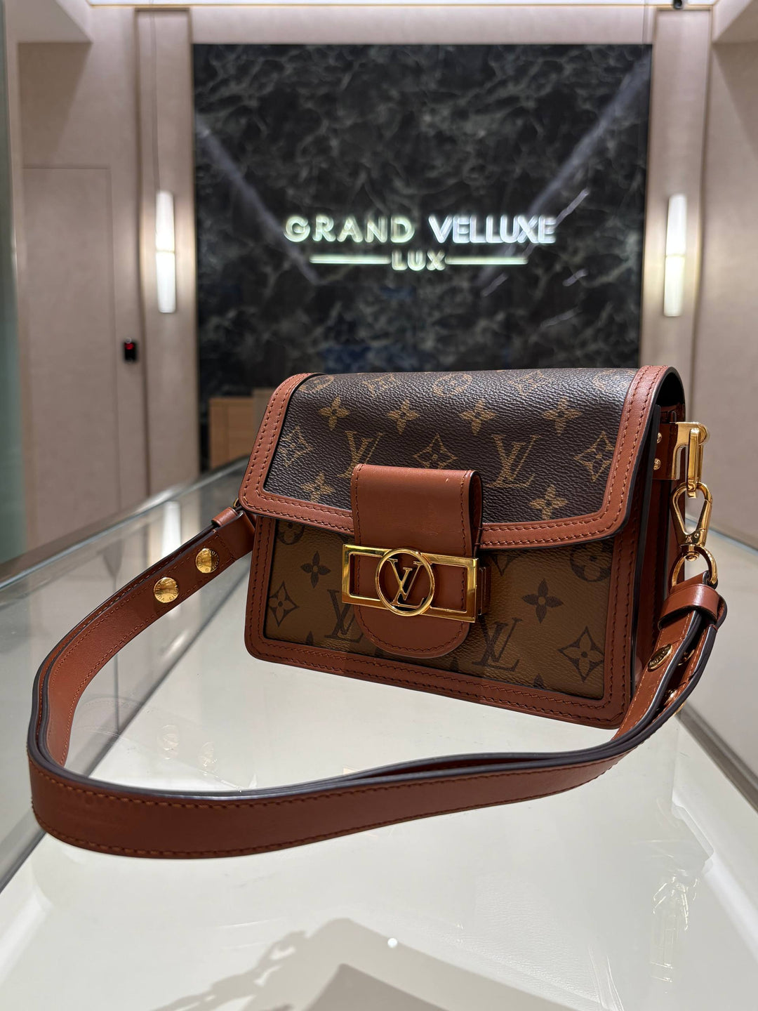LOUIS VUITTON DAUPHINE HANDBAG IN CLASSIC &amp;amp; REVERSE MONOGRAM CANVAS