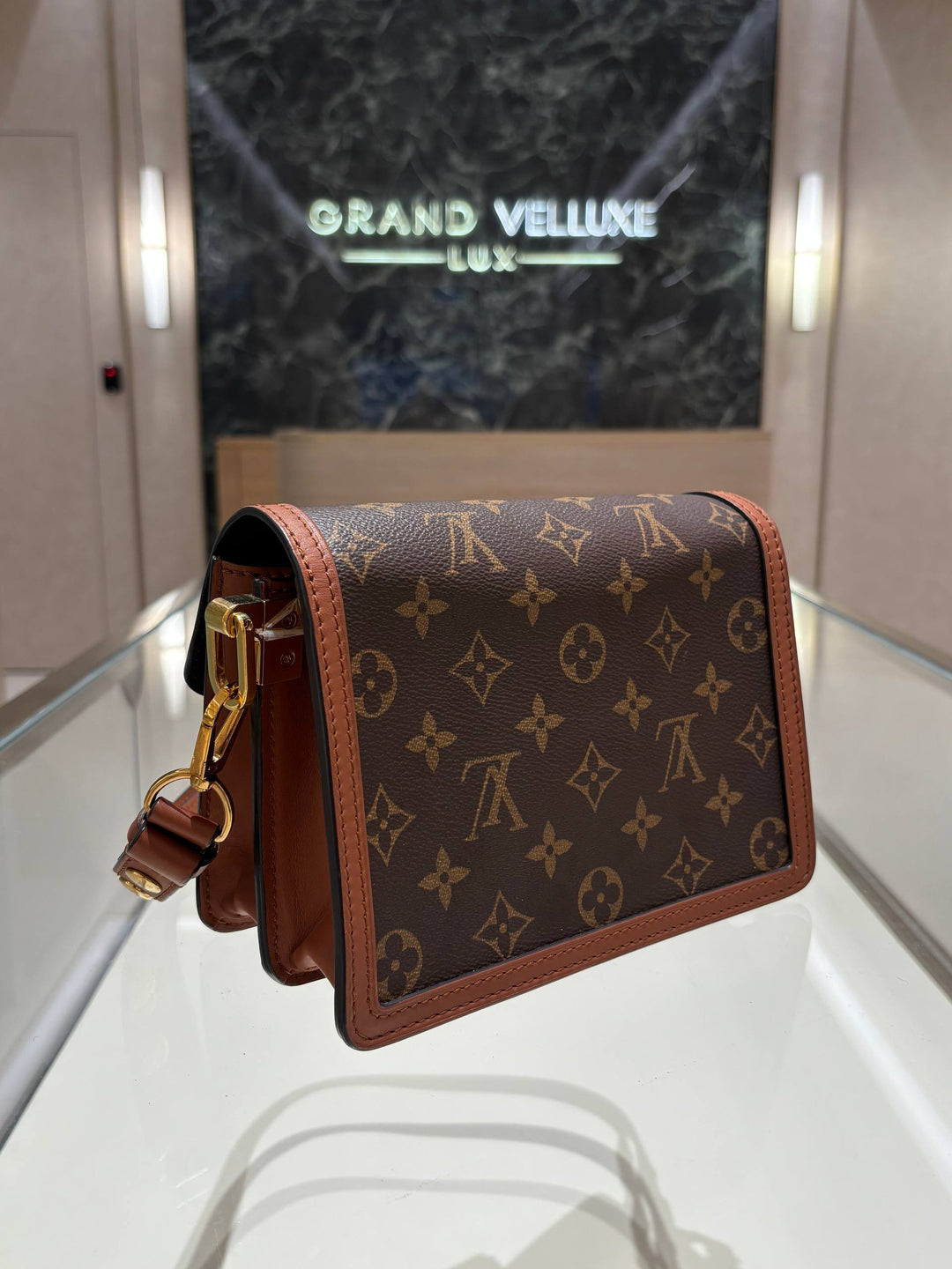 LOUIS VUITTON DAUPHINE HANDBAG IN CLASSIC &amp;amp; REVERSE MONOGRAM CANVAS