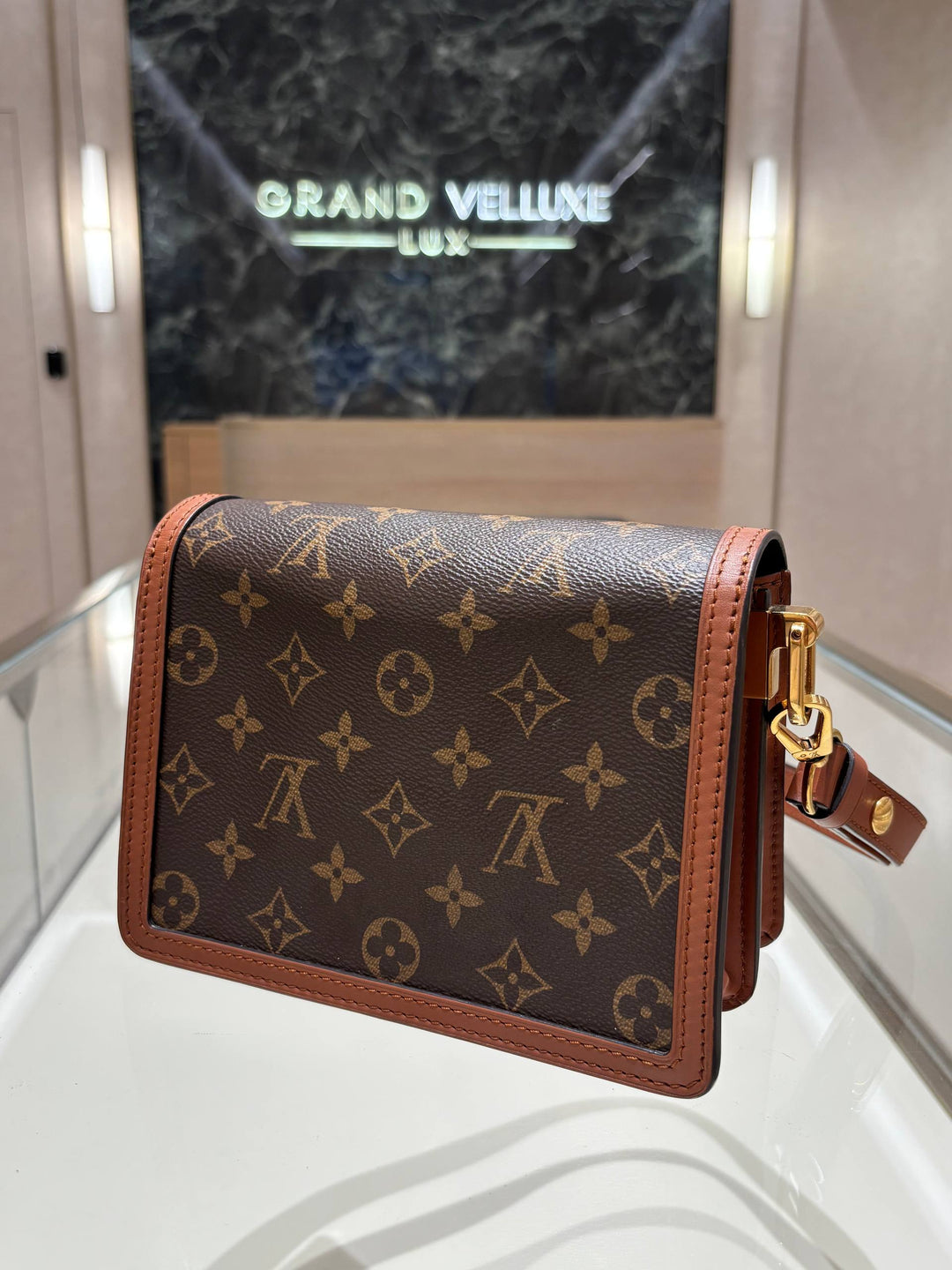 LOUIS VUITTON DAUPHINE HANDBAG IN CLASSIC &amp;amp; REVERSE MONOGRAM CANVAS